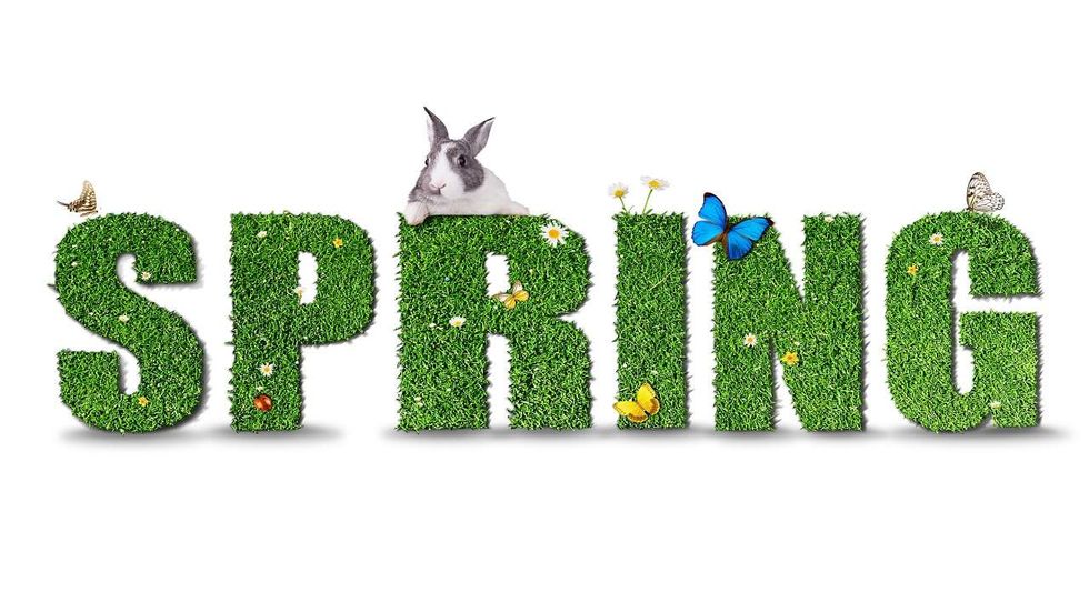 Easter's coming -- where do you stand on the Easter Bunny?