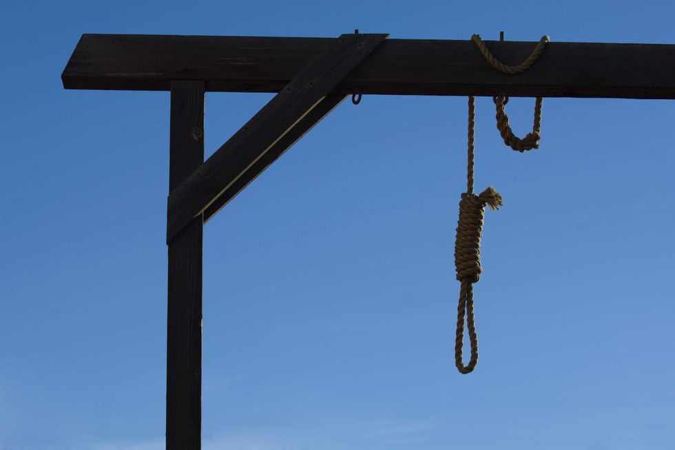 Liberal prof says Trump 'must hang' & Republicans be summarily executed 'to save American democracy