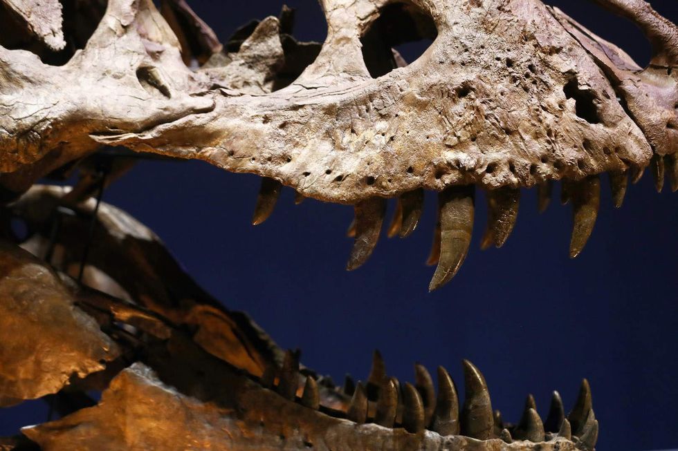 When it comes to science, conservatives and leftists come together on just one thing