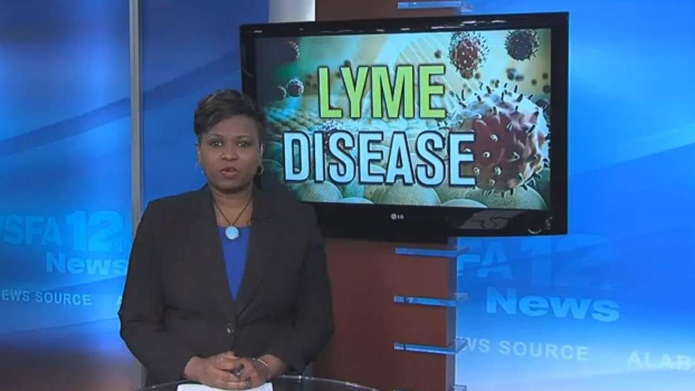 Alarmists say global warming to blame for ‘record’ tick population — but there’s one massive problem