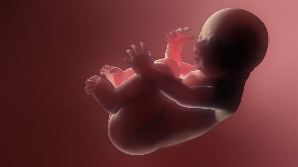 This professor might have the craziest pro-abortion rant yet