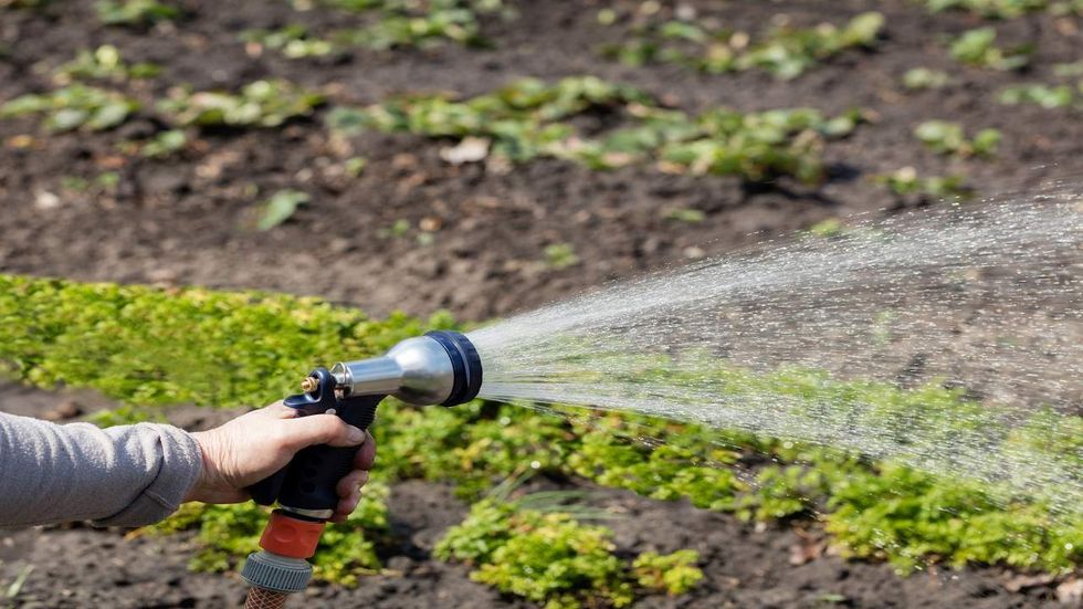 Did you get outside for World Naked Gardening Day?