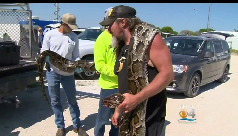 Florida man wrestles, catches 17-foot snake with his bare hands, then finds out what was inside