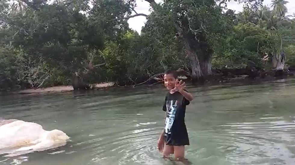 Watch: Massive, mysterious sea creature washes ashore in Indonesia