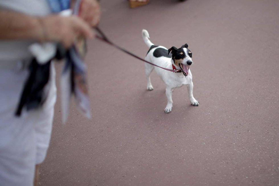 Woman accuses ventriloquist's stuffed dog of coming to life and making lewd comments to her