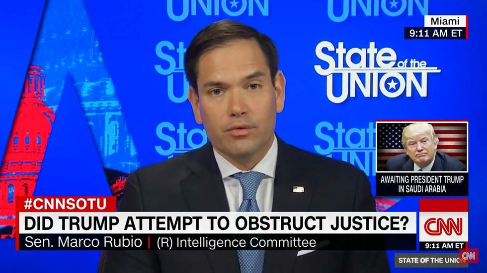 Did Trump obstruct justice? Marco Rubio delivers masterful response to CNN question