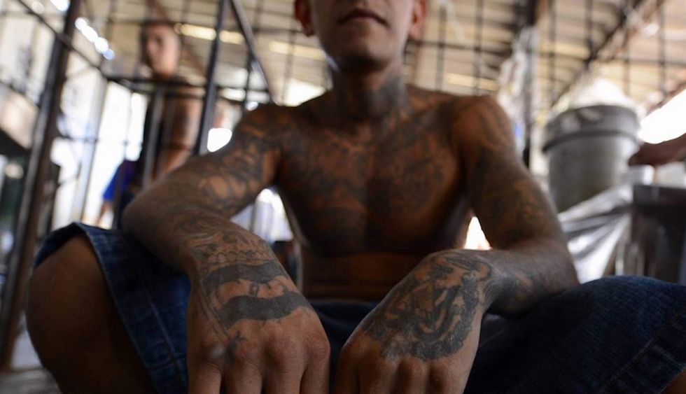Obama admin let MS-13 gang members into US after they were captured at border, documents state