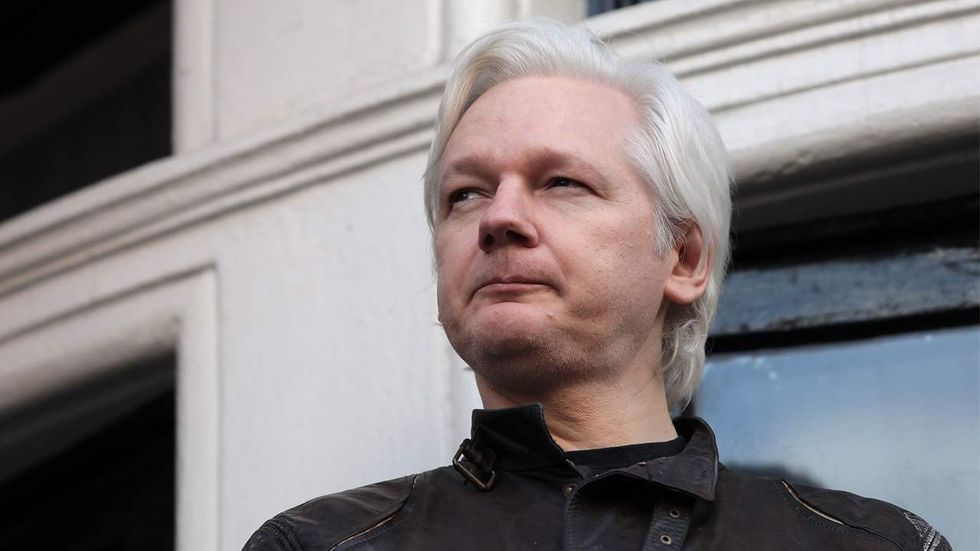 Julian Assange discusses Kushner’s alleged Russian ‘backchannel,’ bashes CIA