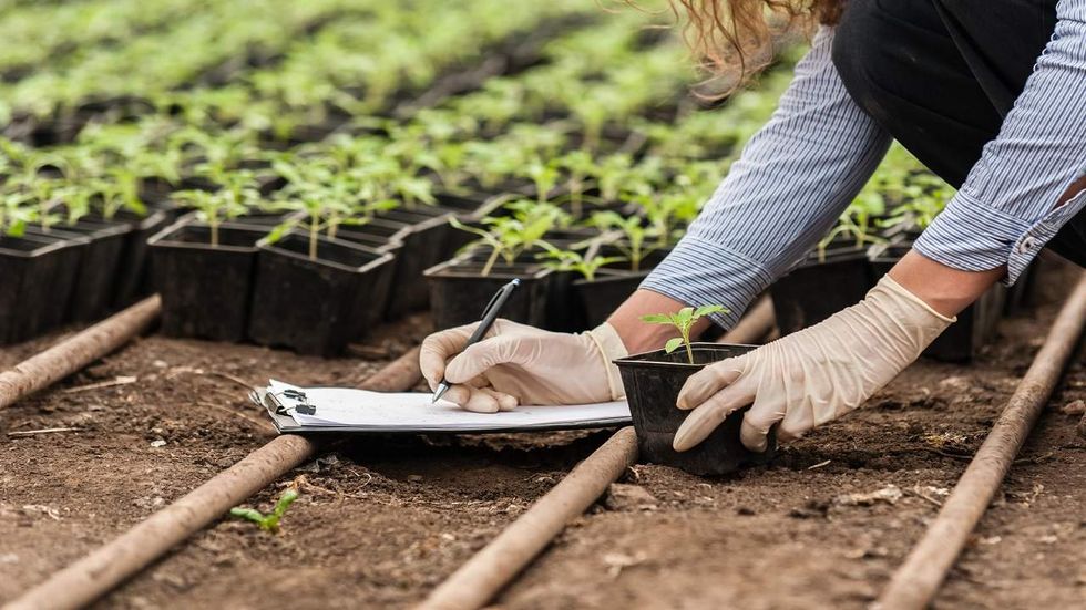 Farmer gets fined $2.8 million for plowing