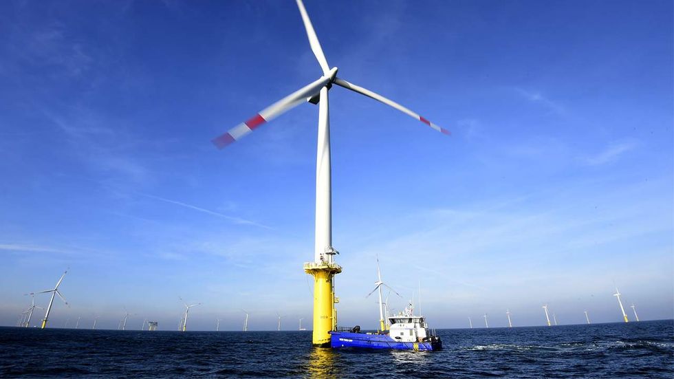 Environmentalists outraged after ‘green’ wind turbines murder family of whales