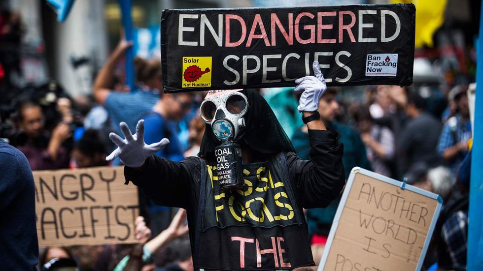 Climate alarmists promote ridiculous ‘food violence’ argument — but facts wreck every word