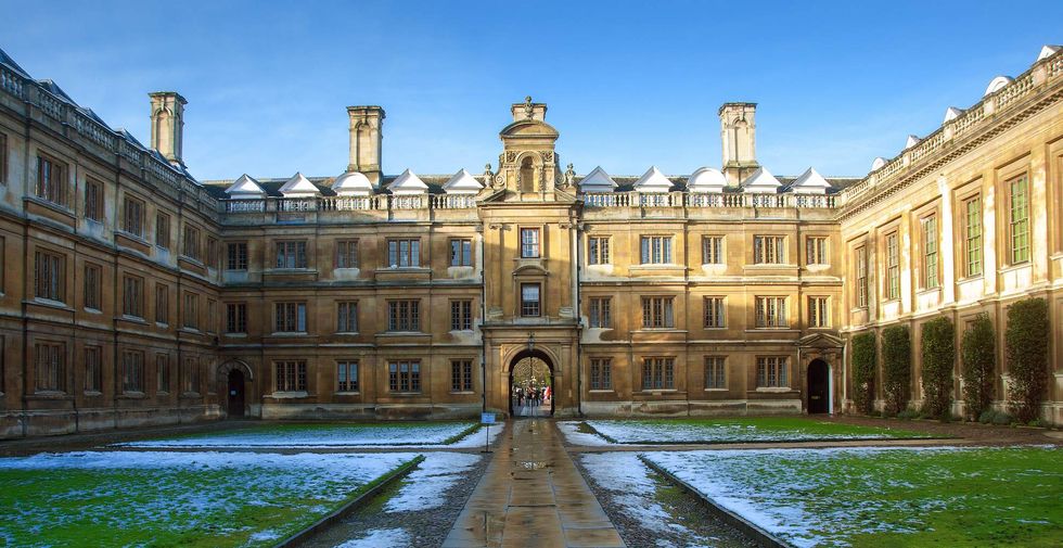 British academic says using these words to describe female students is sexist