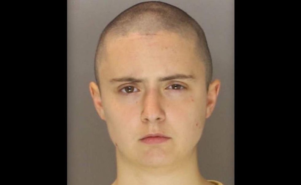 Antifa member uses flagpole with nail to attack police horse: Cops. You'll love the group's reply.