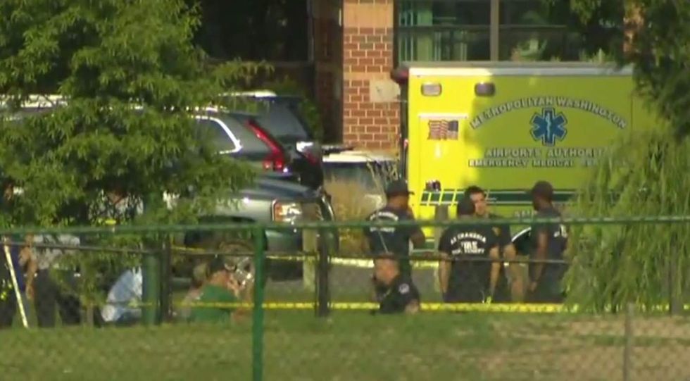 It's a shame more Republicans weren't shot': Ugliness on Twitter after baseball shooting