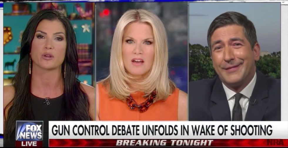 Watch: Dana Loesch crushes anti-gun lobby spokesman in debate over GOP baseball shooting