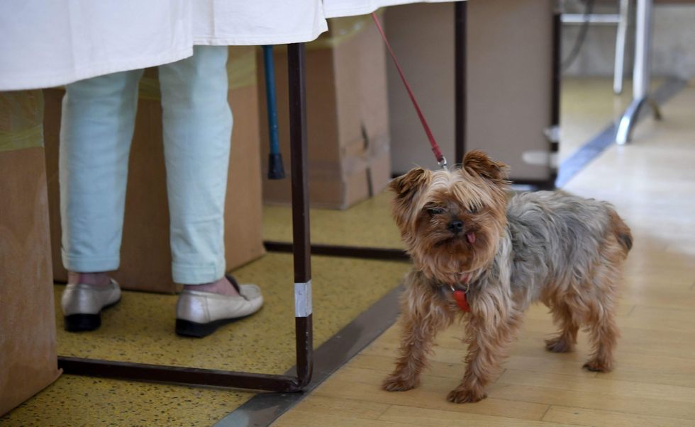 A breathtaking number of people are erroneously on Rhode Island's voting lists