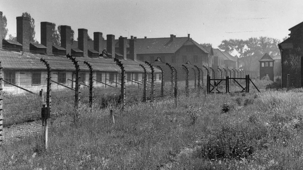 TheBlaze Poll: Do you agree with the fury over a congressman recording a video inside Auschwitz?