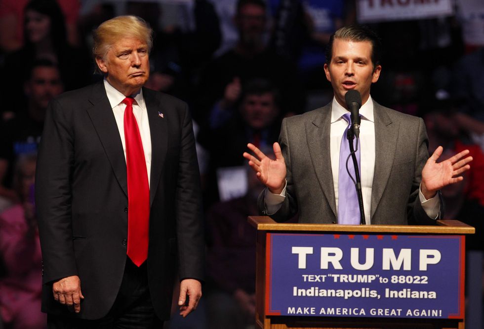 Noted legal scholar throws cold water on claims that Donald Trump Jr. committed treason