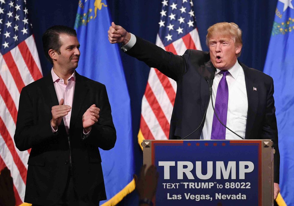 From what I've seen,' Trump Jr. didn't commit a crime by meeting with Russian lawyer, expert says