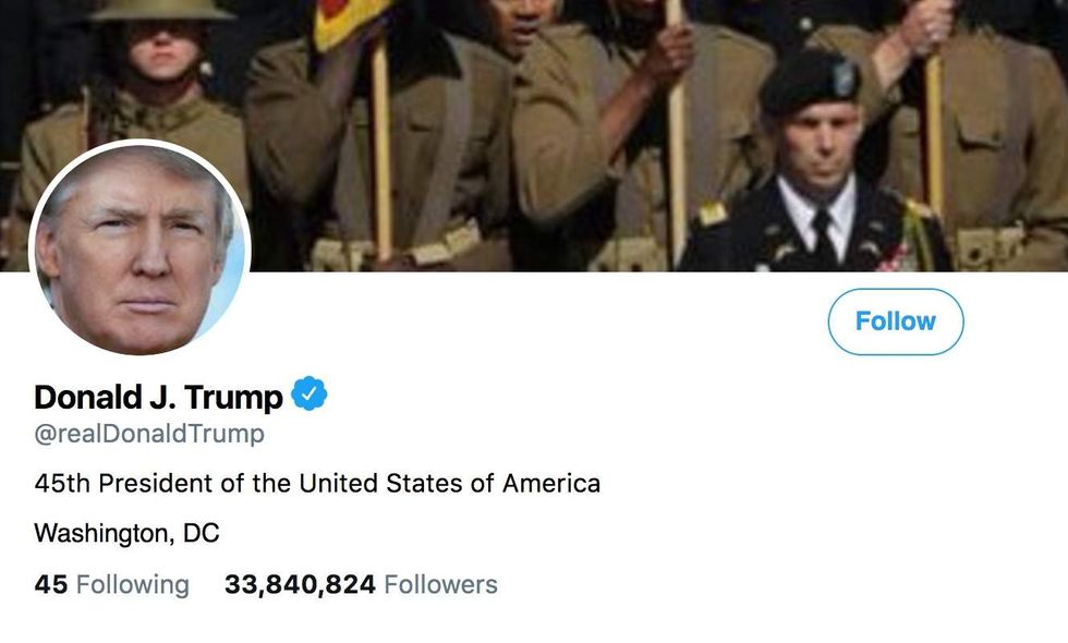Journalist quickly becomes laughing stock after boasting about suing Trump for blocking her on Twitter
