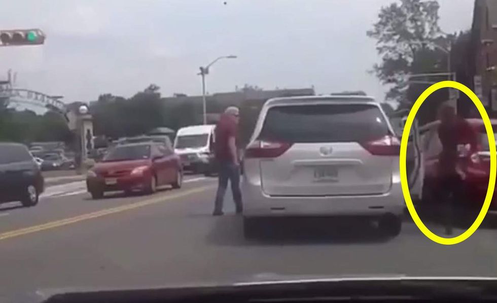 VIDEO: Driver grabs dog from vehicle next to his, tosses animal into street amid road rage fight