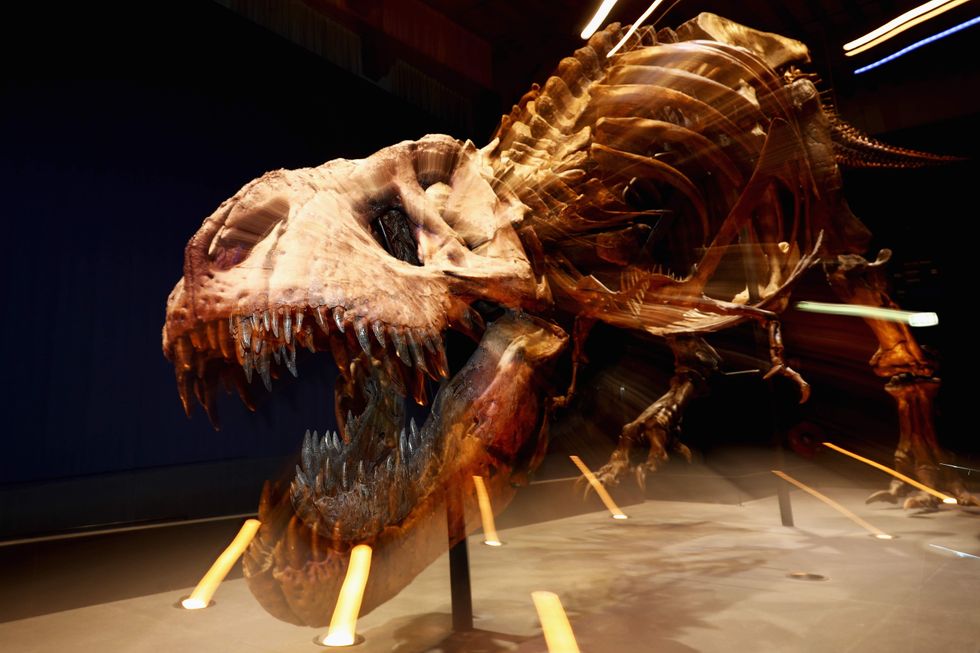 New research suggests that T. rex was far slower than movies suggest
