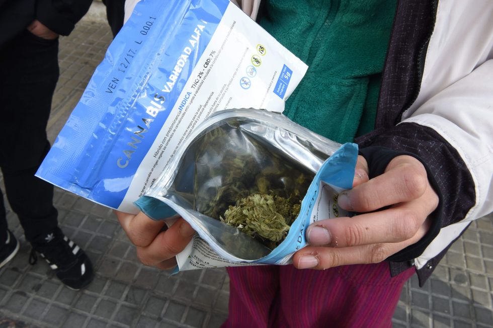 Pot dispensary offers free weed for trash cleanup