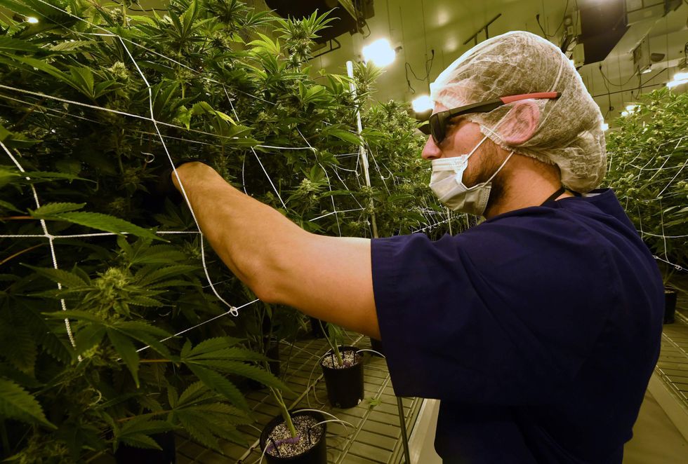 Marijuana company purchases entire town to create a 'cannabis-friendly hospitality destination