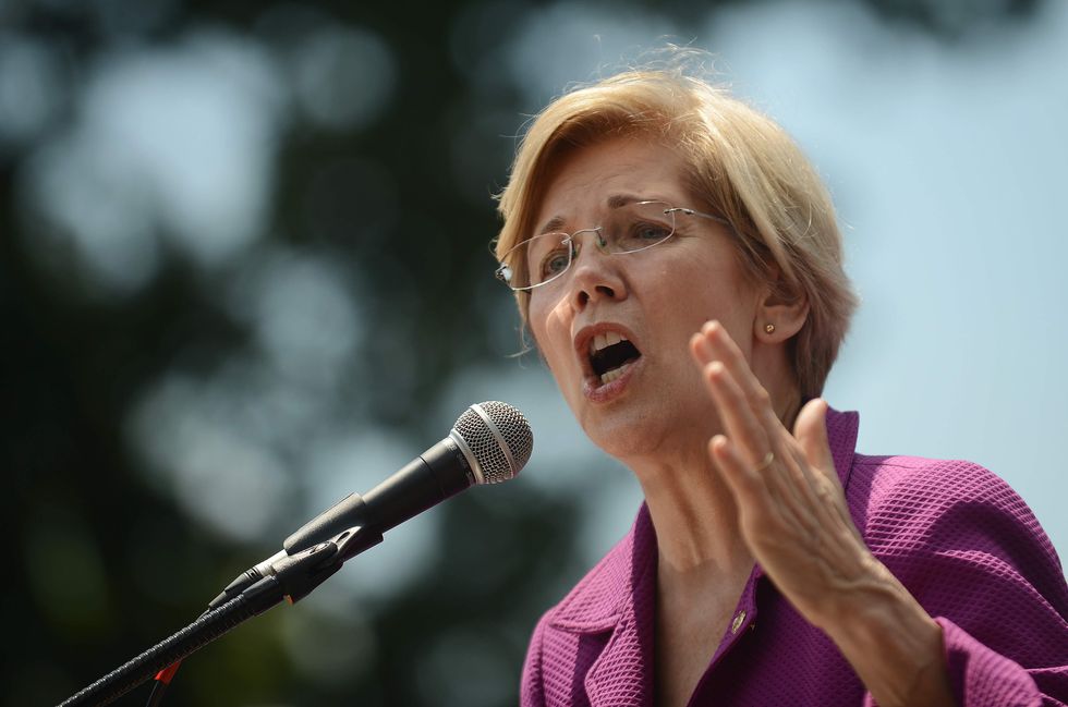 Elizabeth Warren just announced her plans for 2020 — and not everyone will like them