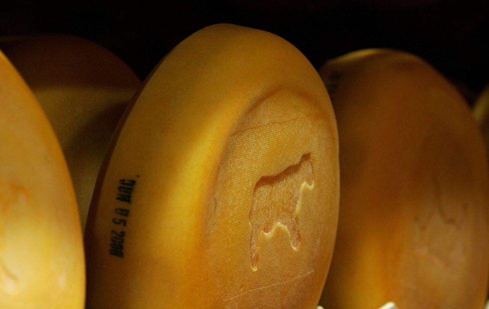 PETA gets mercilessly mocked after they claim 'cheese is the most sexist thing you can eat