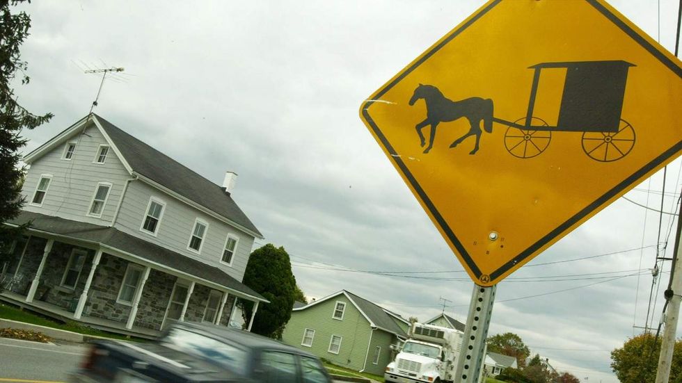 Amish farmer sentenced to prison for making this product without 'registering' with the government
