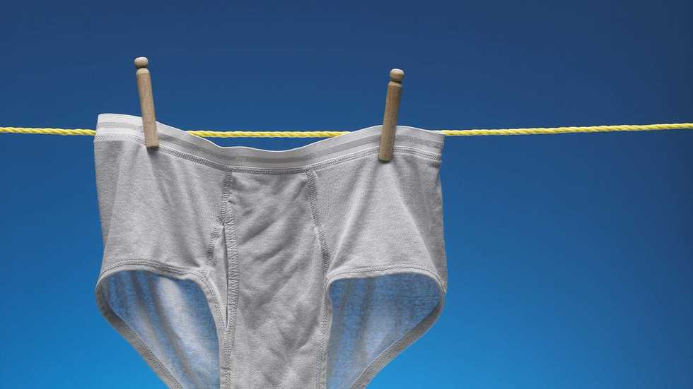 It looks like Pat and Stu will not lose this daring bet they made about Trump and the wall