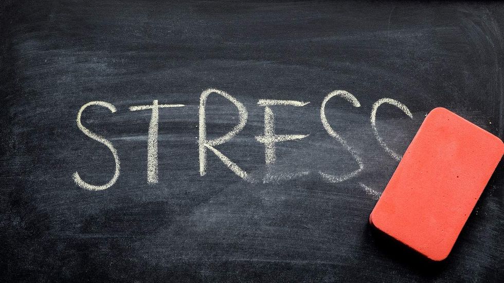 Author: 'Success' doesn't equal happiness; here's how to find what's important