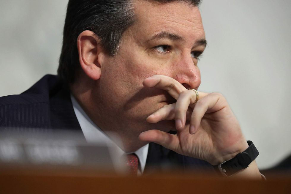 Ted Cruz urges DOJ to investigate Charlottesville's 'grotesque act of domestic terrorism