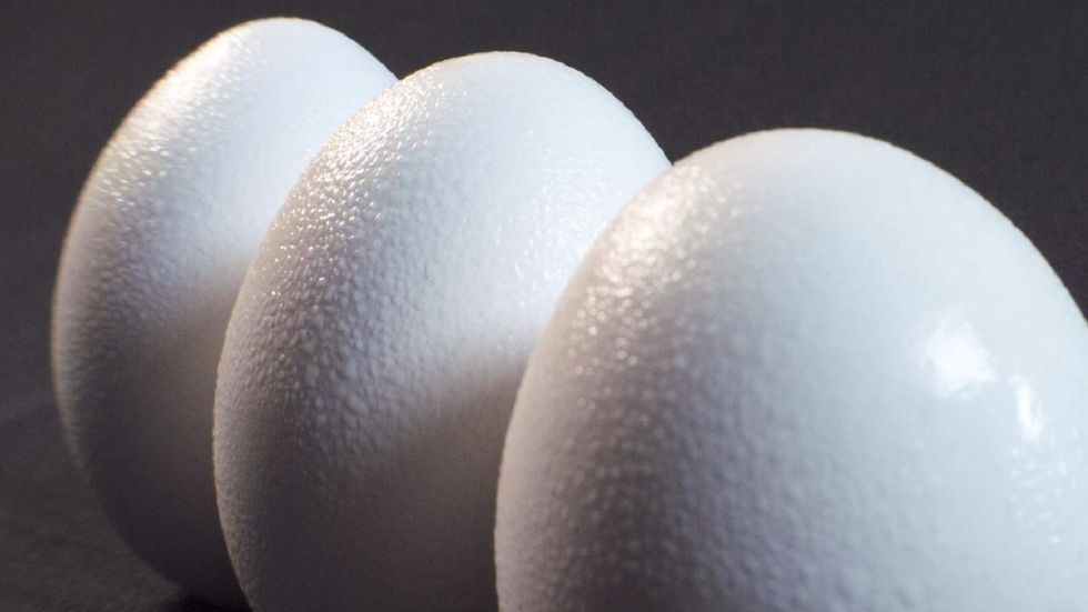 Eggs yanked from European supermarkets after contamination scare