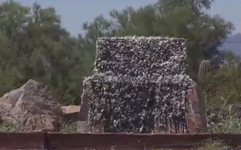 Confederate monument actually gets tarred and feathered: 'Somebody ... put a little thought into it