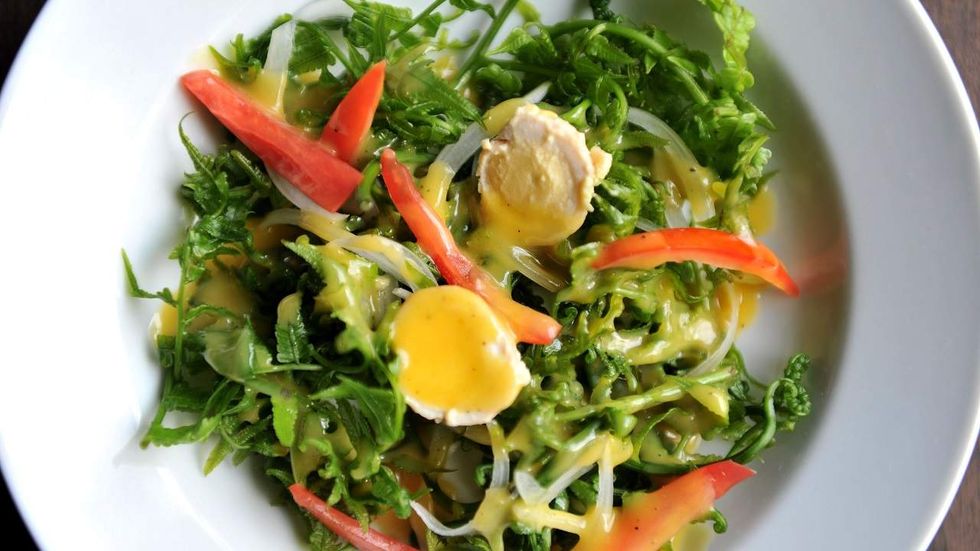 California woman finds a frog in her salad – now he’s a family pet