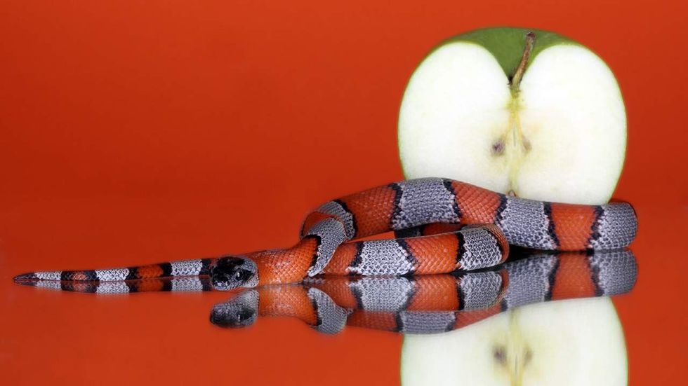 This is the one cliche all Christians should stop using