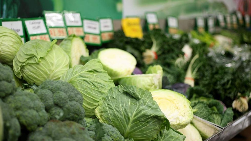 Can vegetables know they're being eaten? Science says yes