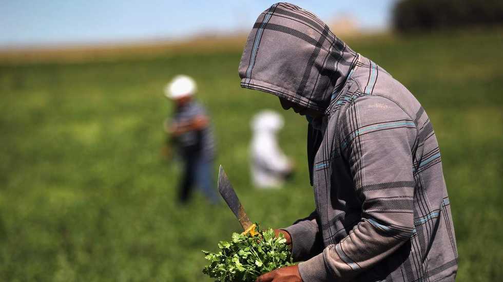 Listen: DACA recipient shares his story -- 'You should really crackdown on the employer