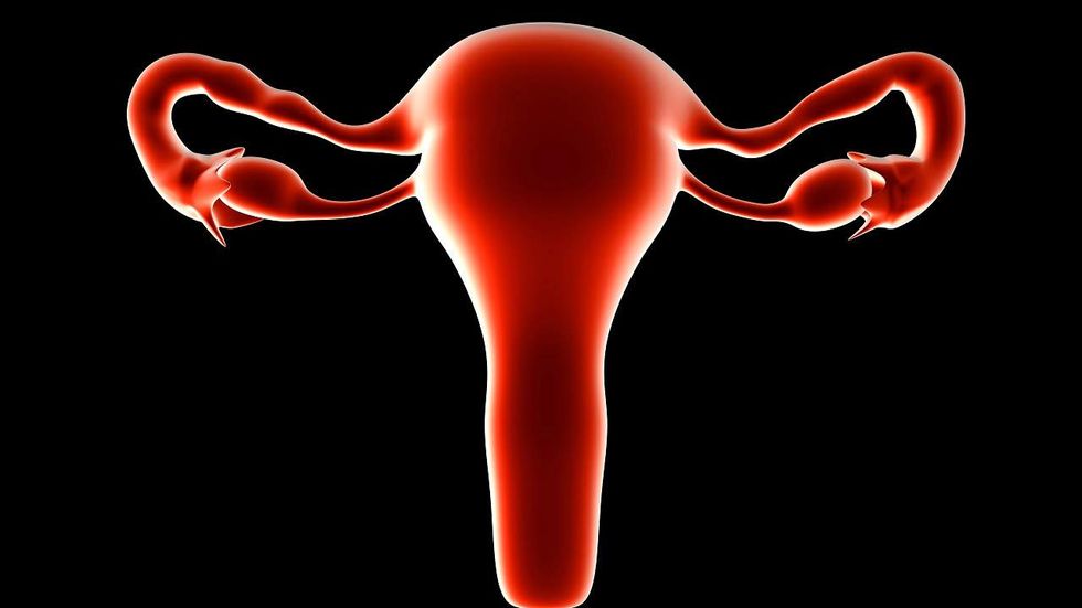 Florida woman attacked another woman ‘to get her uterus and hair back’