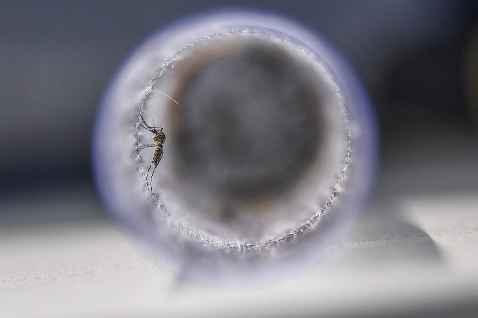 This new smartphone can be used as mosquito repellent