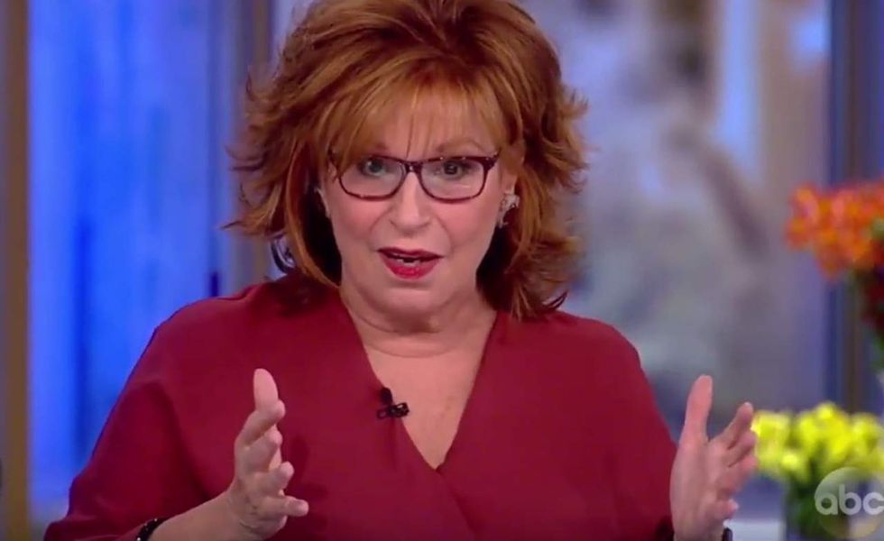 Joy Behar praises Democrats for lacking 'family' values: 'They're not hypocrites—they're just dogs\
