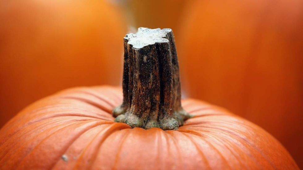 Peak pumpkin spice? School evacuates after people notice this strange smell