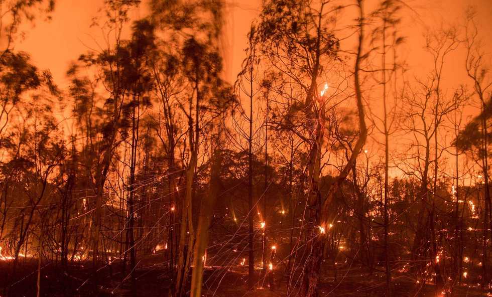 Inferno in California: Massive wildfires claim 15 souls so far, 200 more missing
