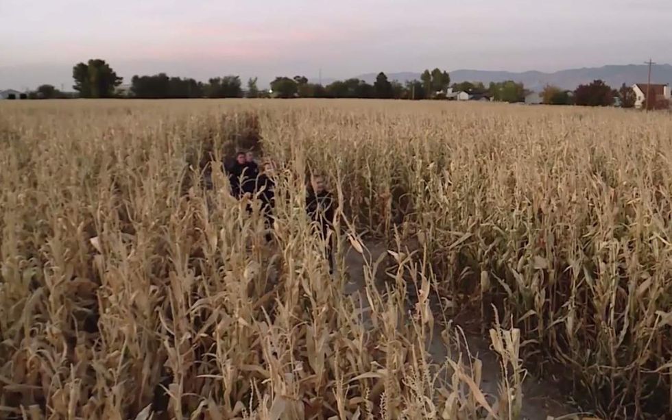 3-year-old left behind in corn maze at night. Mom reports him missing — 12 hours later.