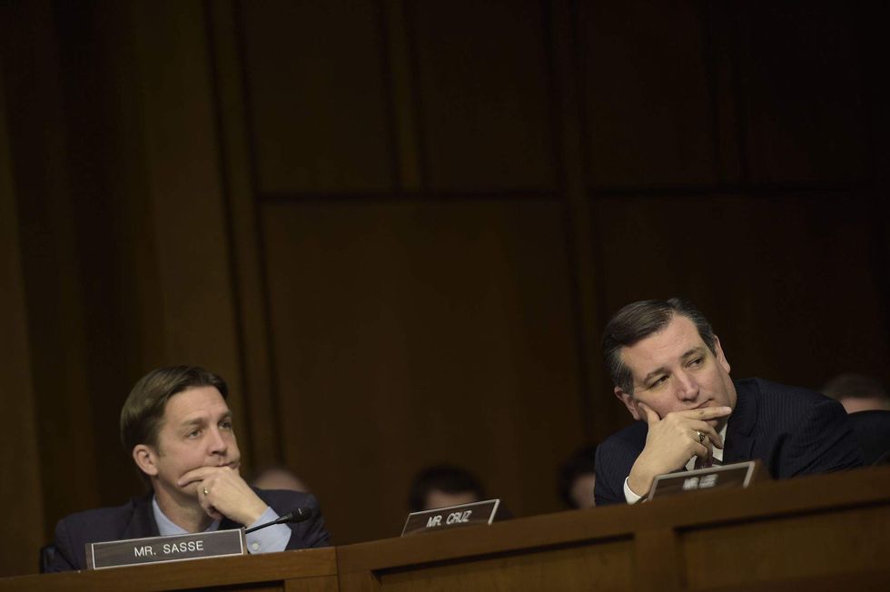 Ben Sasse ‘accidentally’ dumps a Dr Pepper on Ted Cruz during hearing — and things only got weirder