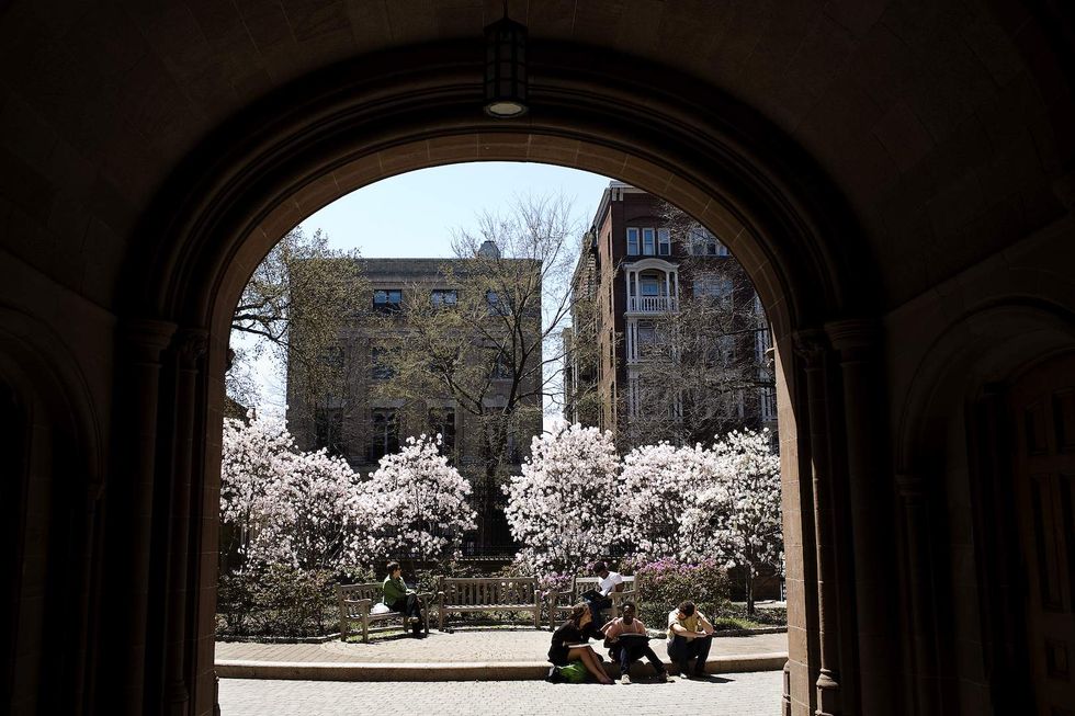 Yale college head tries to promote diversity by removing pictures of white men, then backtracks