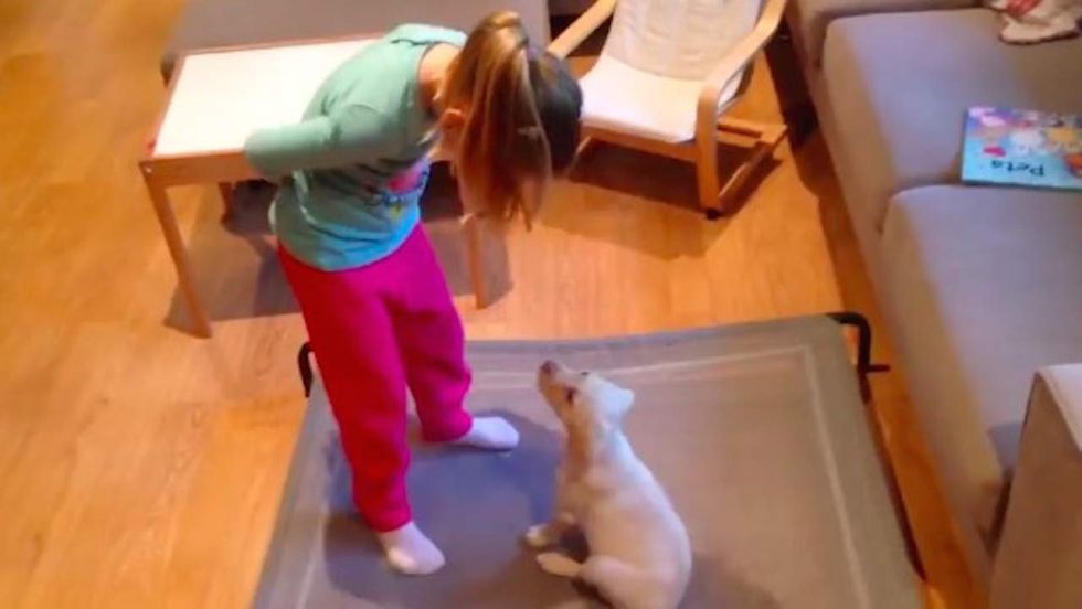 Thieves steal little girl's puppy — then bring it back