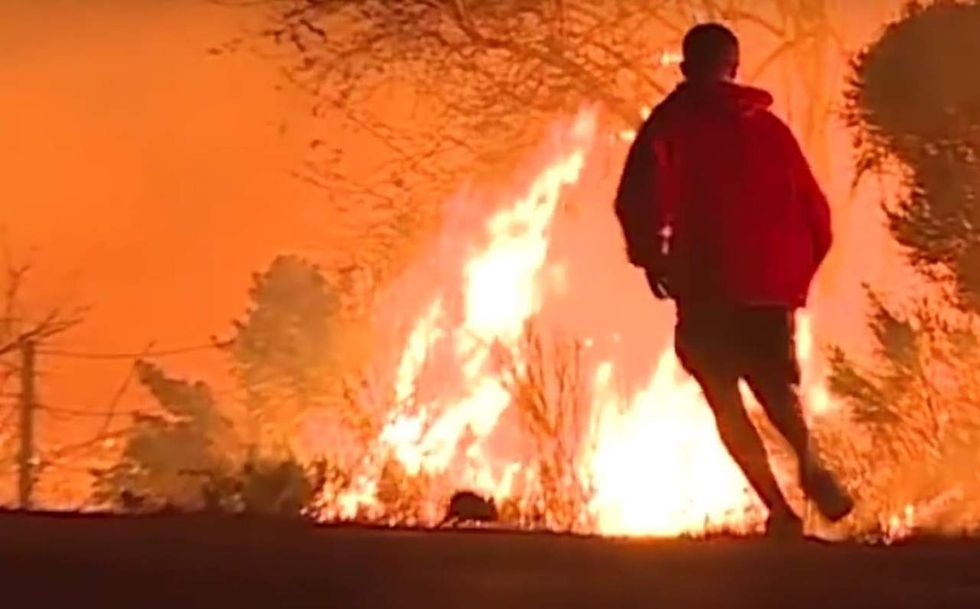 Black columnist: Video of man saving rabbit from wildfire 'captures everything wrong with whiteness